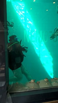wp_20160320_13_53_40_pro.jpg
